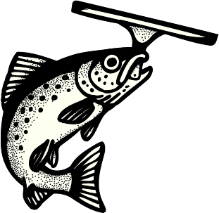 Coho Window Cleaning